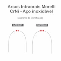 Arco de Aço CrNi Retangular Inferior 21x25 (5072005) - Morelli