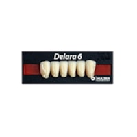 Dente Delara Anterior Inferior A4 L33 - Kulzer