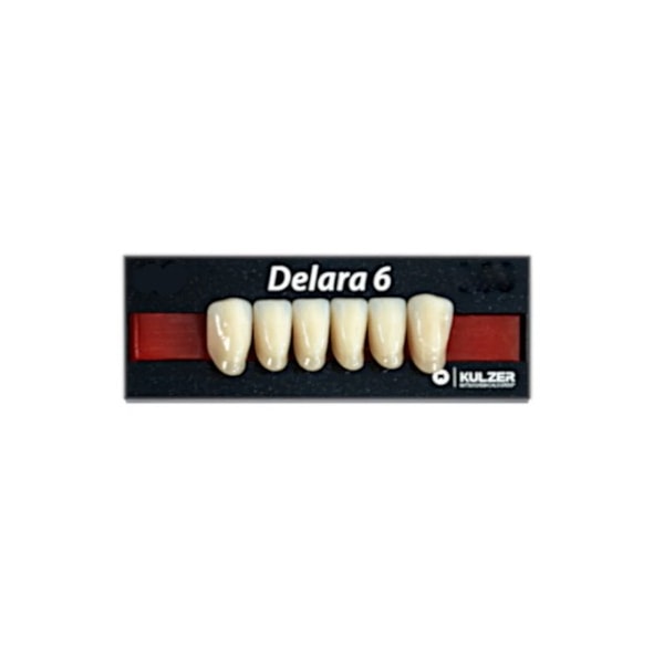 Dente Delara Anterior Inferior A4 L33 - Kulzer