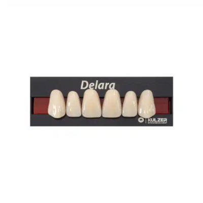 Dente Delara Anterior Superior A3 T42 - Kulzer