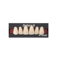 Dente Delara Anterior Superior C1 O43 - Kulzer