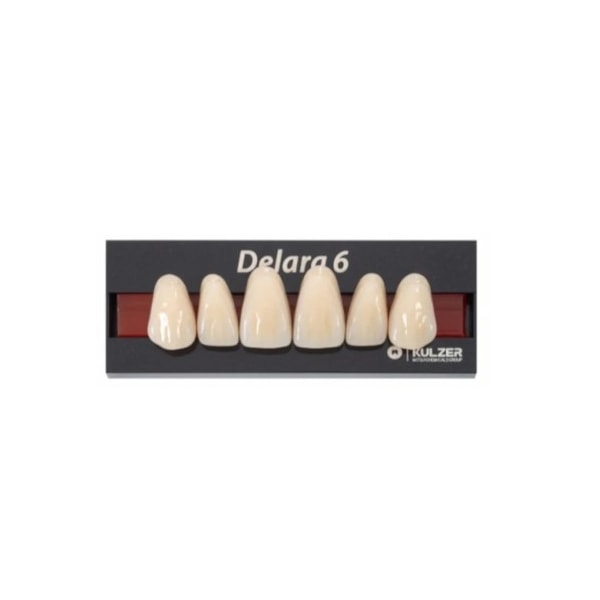 Dente Delara Anterior Superior C1 O43 - Kulzer