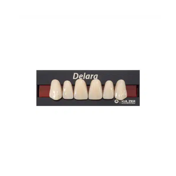 Dente Delara Anterior Superior - Kulzer