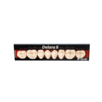 Dente Delara Posterior Inferior A1 30L - Kulzer