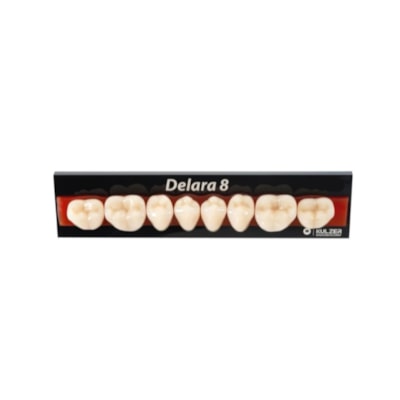 Dente Delara Posterior Inferior A1 30L - Kulzer