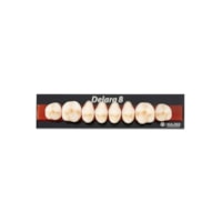 Dente Delara Posterior Superior A1 30U - Kulzer