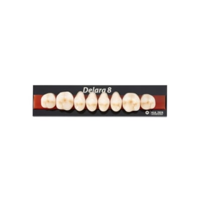 Dente Delara Posterior Superior A1 30U - Kulzer