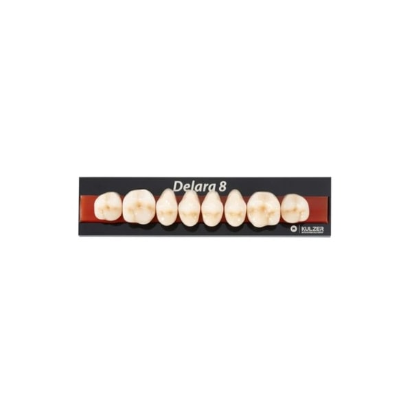 Dente Delara Posterior Superior A1 30U - Kulzer