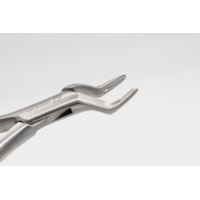 FORCEPS 6B INF 69 (BOTICAO)