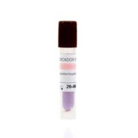 INDICADOR BIOLOGICO 2i 24H C/10