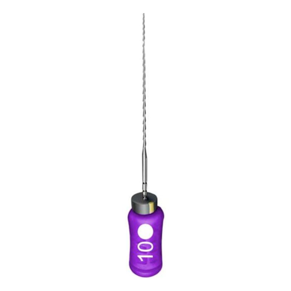 Lima Hedstroem Série Especial 21mm Maillefer - Dentsply