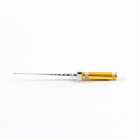 Lima Rotatória Pro Glider Ster 25mm - Dentsply