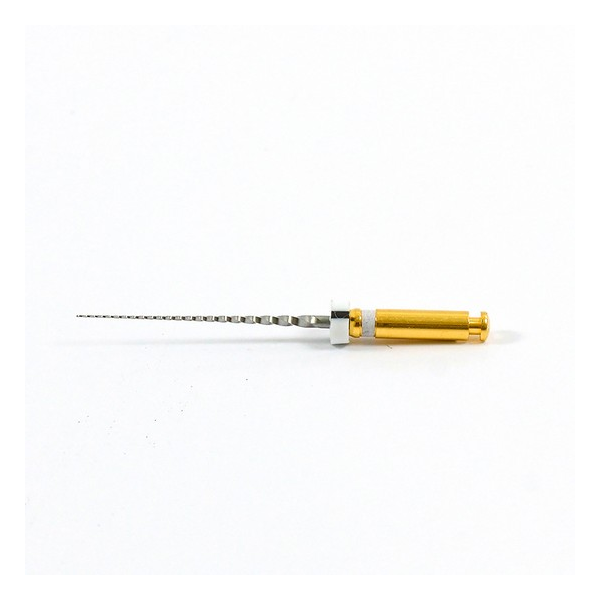 Lima Rotatória Pro Glider Ster 25mm - Dentsply