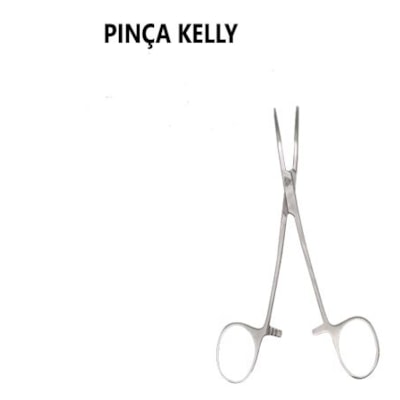 PINCA 6B KELLY 16cm