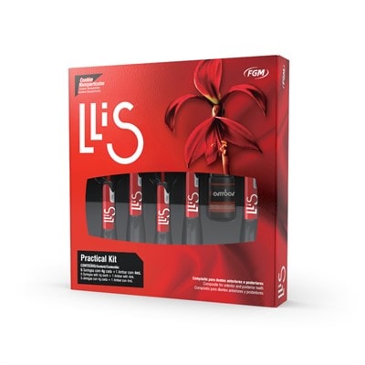 RESINA LLIS KIT C/5 CORES